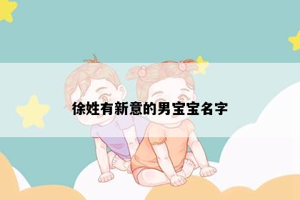 徐姓有新意的男宝宝名字