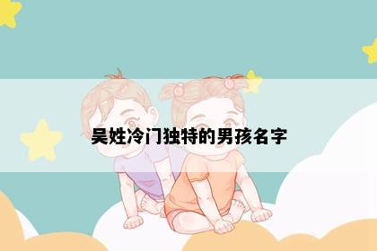 吴姓冷门独特的男孩名字