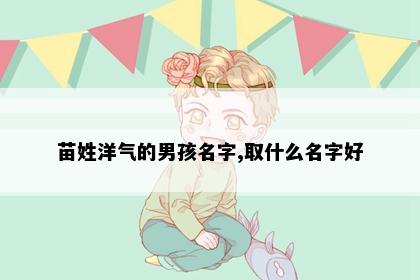 苗姓洋气的男孩名字,取什么名字好