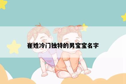 崔姓冷门独特的男宝宝名字